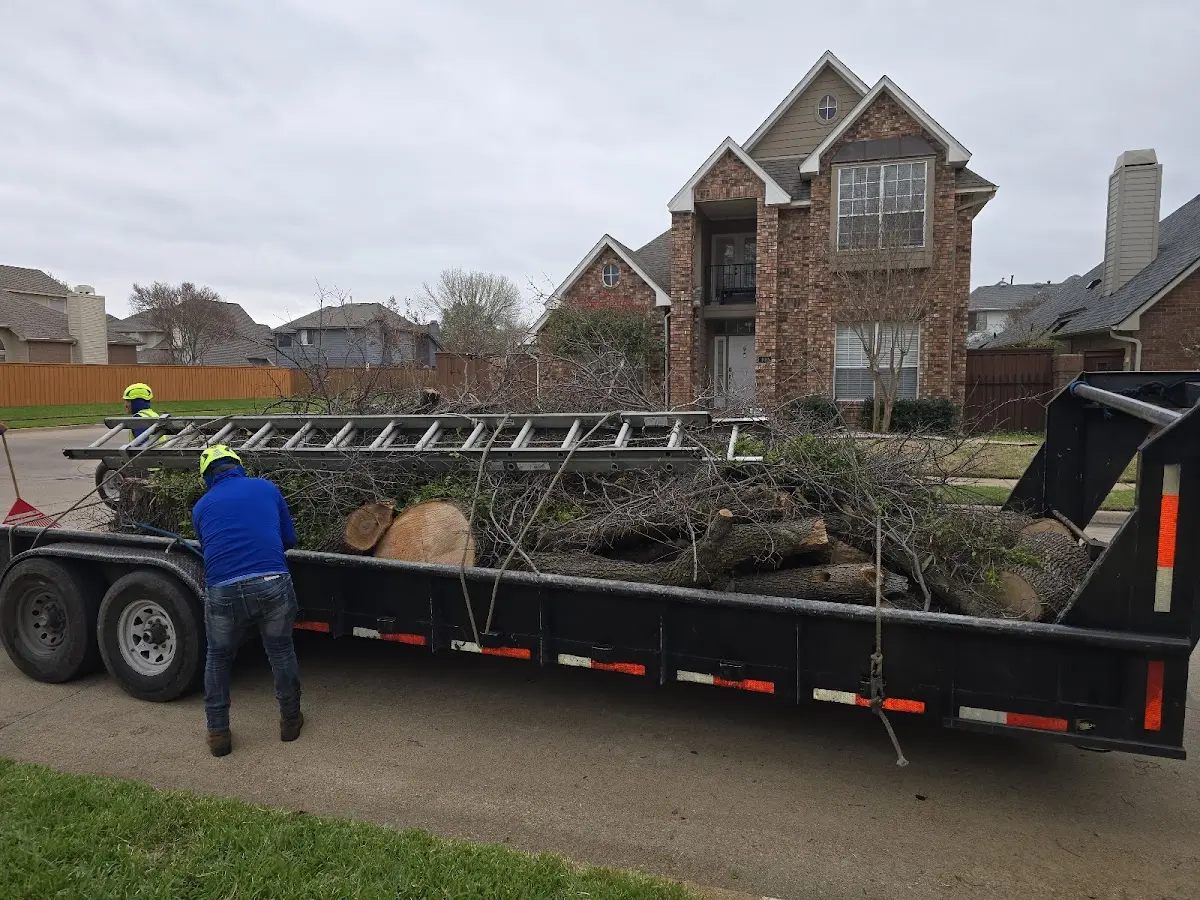 Expert Tree Removal with proper safety equipment in New Matamoras